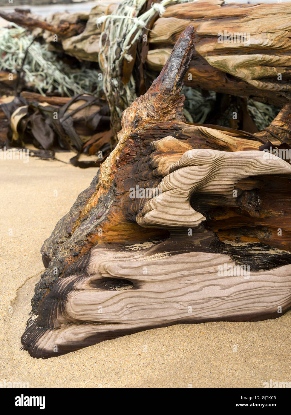 Sand verwitterte gewaschen und getragen Eiche Treibholz Hölzer auf alten Schiffswrack Strand, Balnahard Strand, Insel Colonsay, Schottland, Großbritannien. Stockfoto