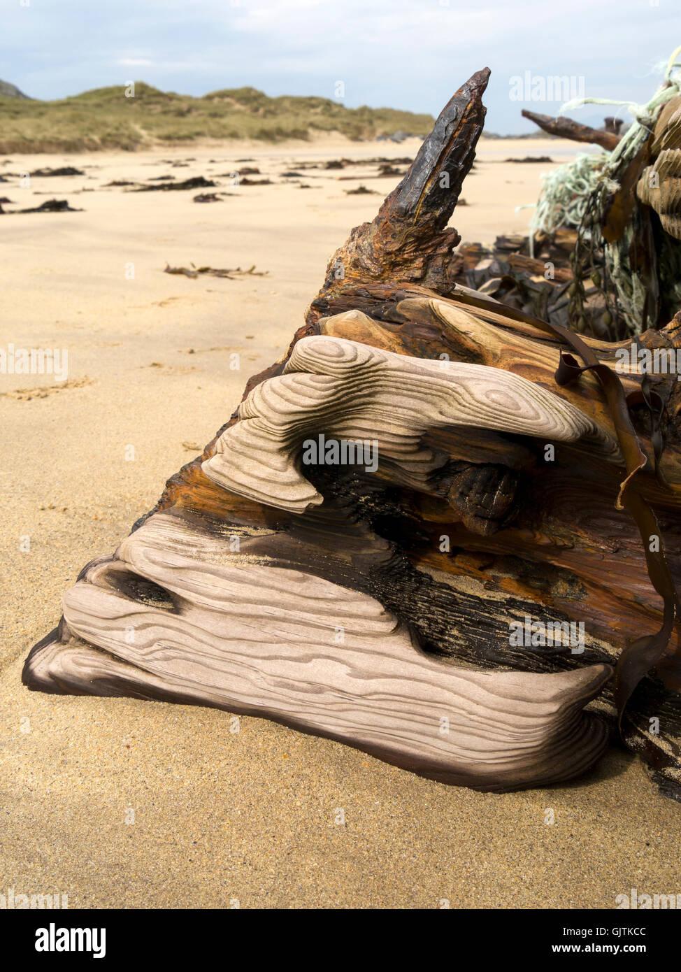 Sand verwitterte gewaschen und getragen Eiche Treibholz Hölzer auf alten Schiffswrack Strand, Balnahard Strand, Insel Colonsay, Schottland, Großbritannien. Stockfoto