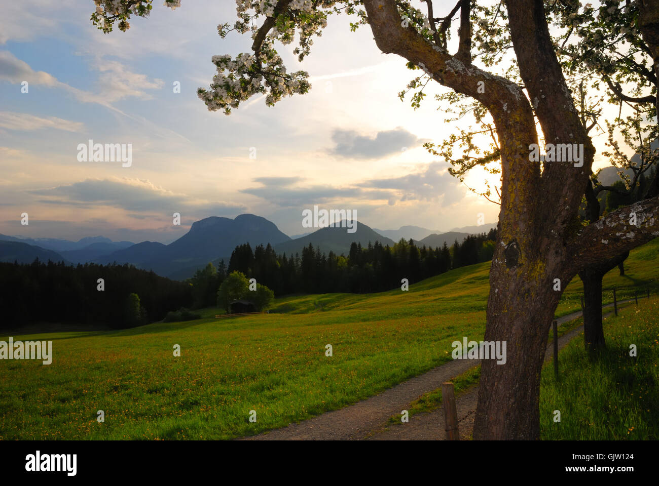 Sonnenuntergang-Alpen-Österreich Stockfoto