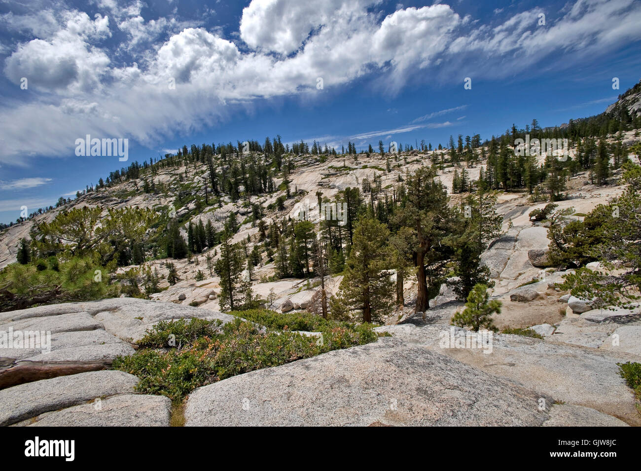 Berge-Nationalpark-Sommer Stockfoto