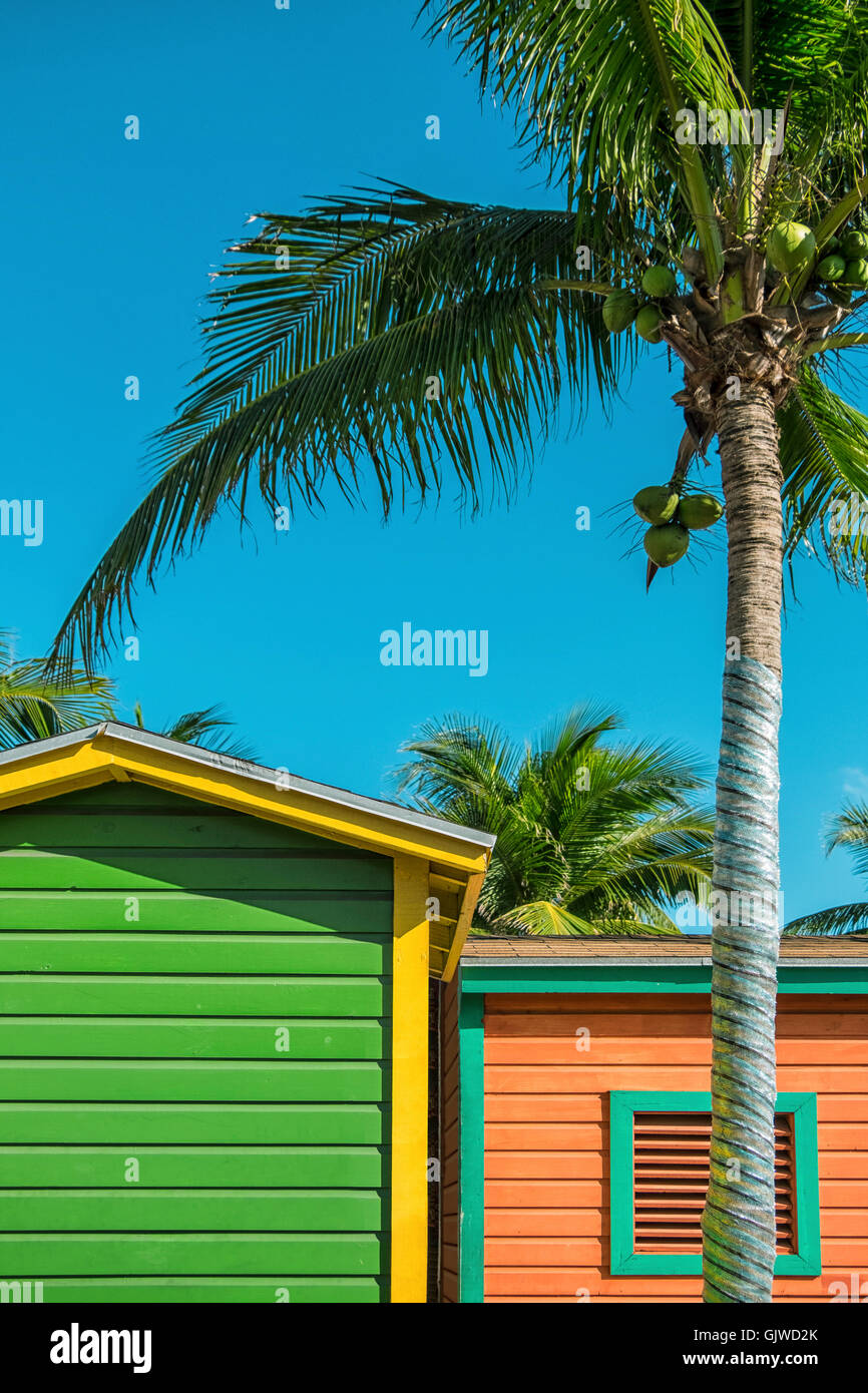 Schöner Urlaub-Hütten und Palme auf den bahamas Stockfoto