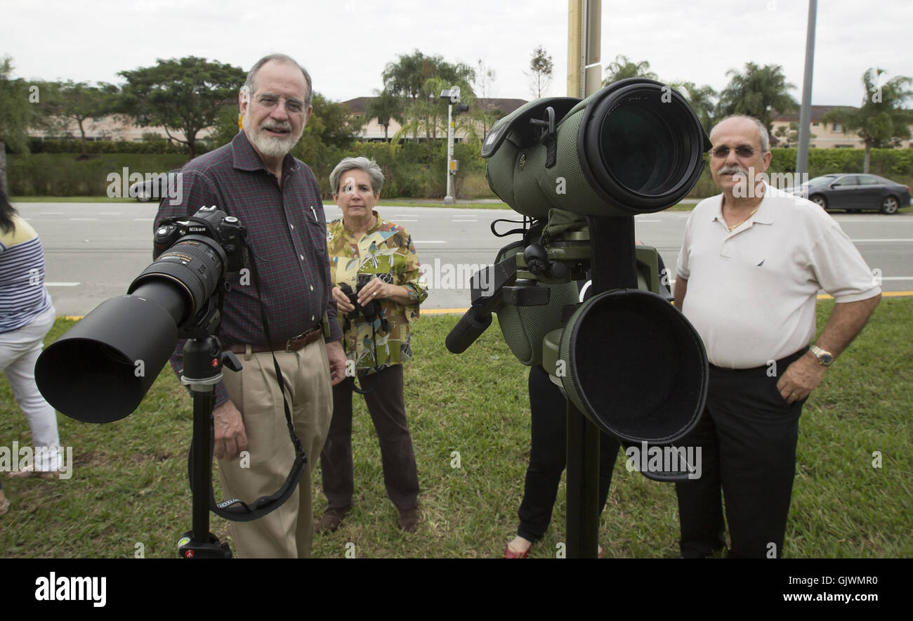 Pembroke Pines, Florida, USA. 8. November 2016. Vogelliebhaber halten Sie ein Auge auf dem Nest Pembroke Pines, Florida. Die Eagles waren Mitte Januar geboren. Die Erwachsenen Adler lebt seit 2008 in ihr Nest. © J Pat Carter/ZUMA Draht/Alamy Live-Nachrichten Stockfoto