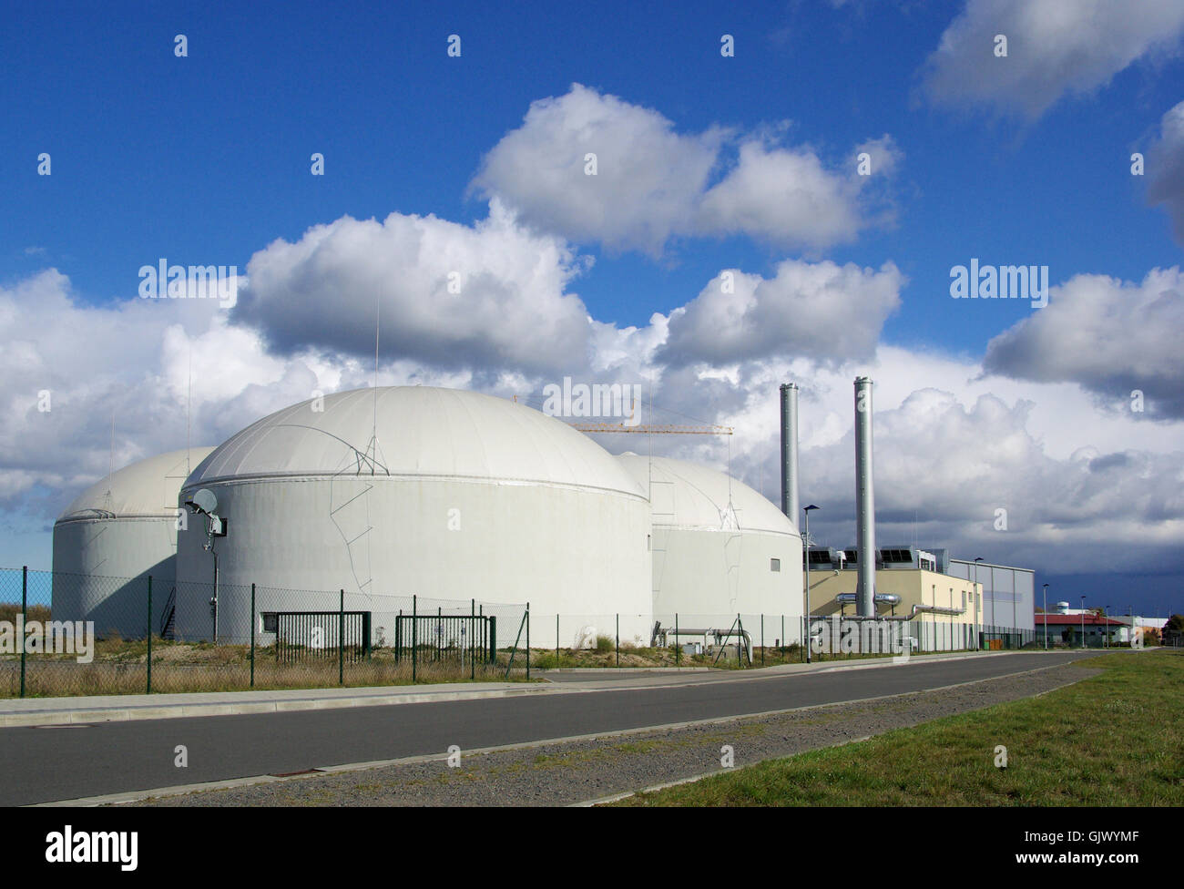 Eco-Feld-Anlage Stockfoto