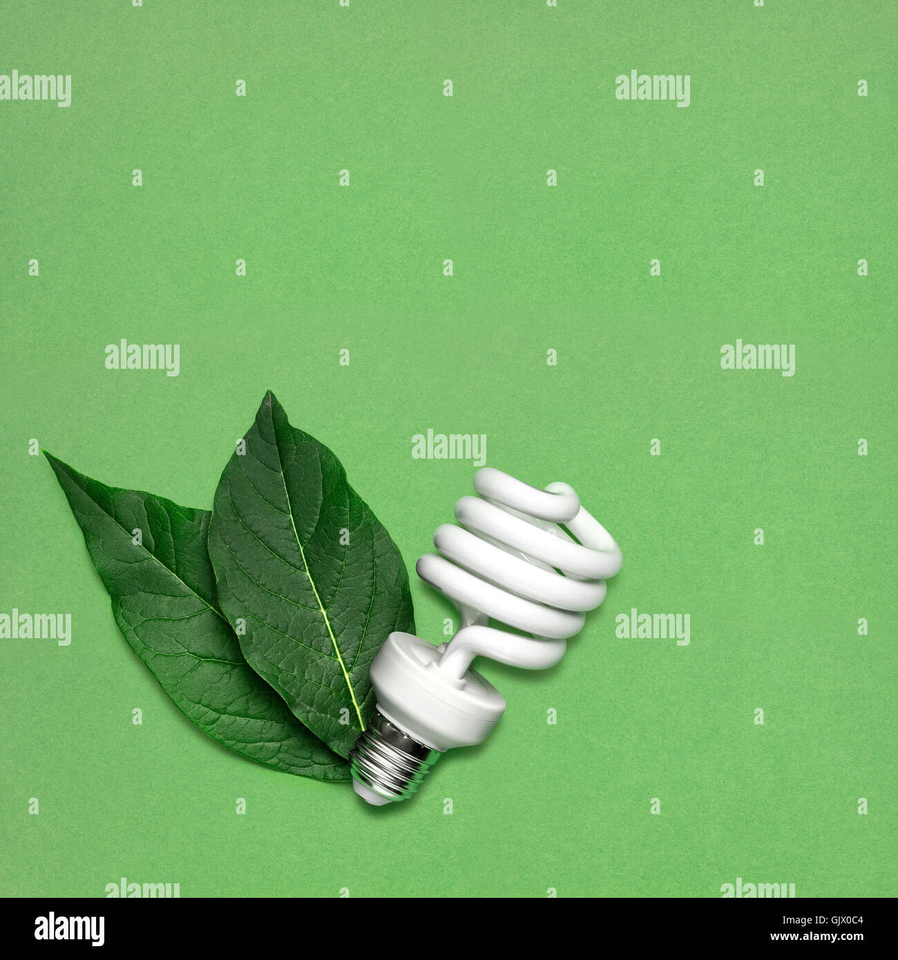 Kreative Stillleben mit Energiesparlampe mit Blätter als Symbol des Umweltschutzes. Stockfoto