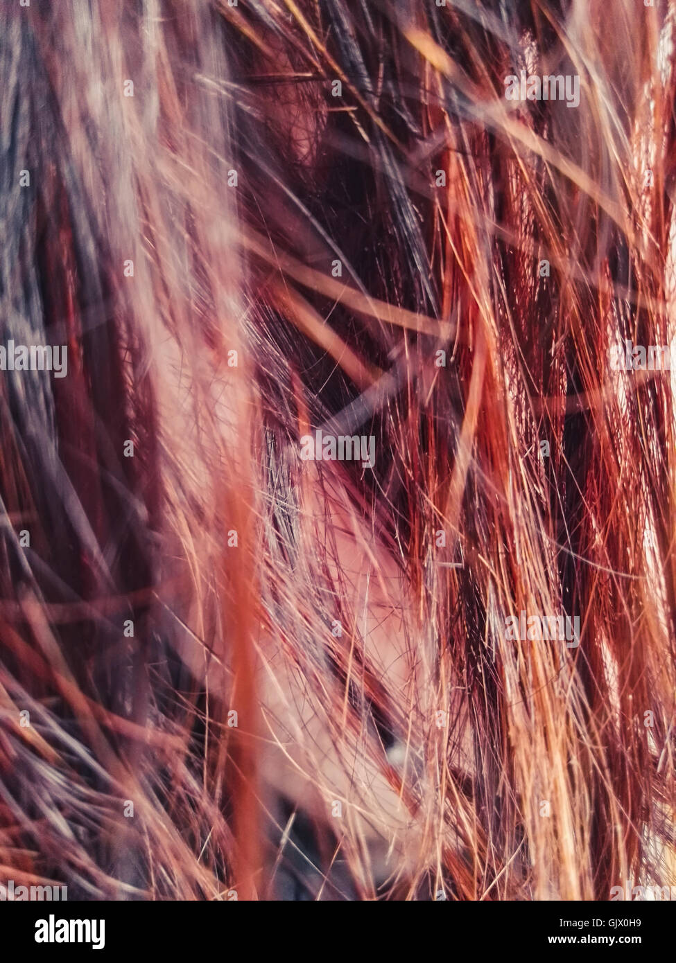 Rotes Haar hautnah Stockfoto