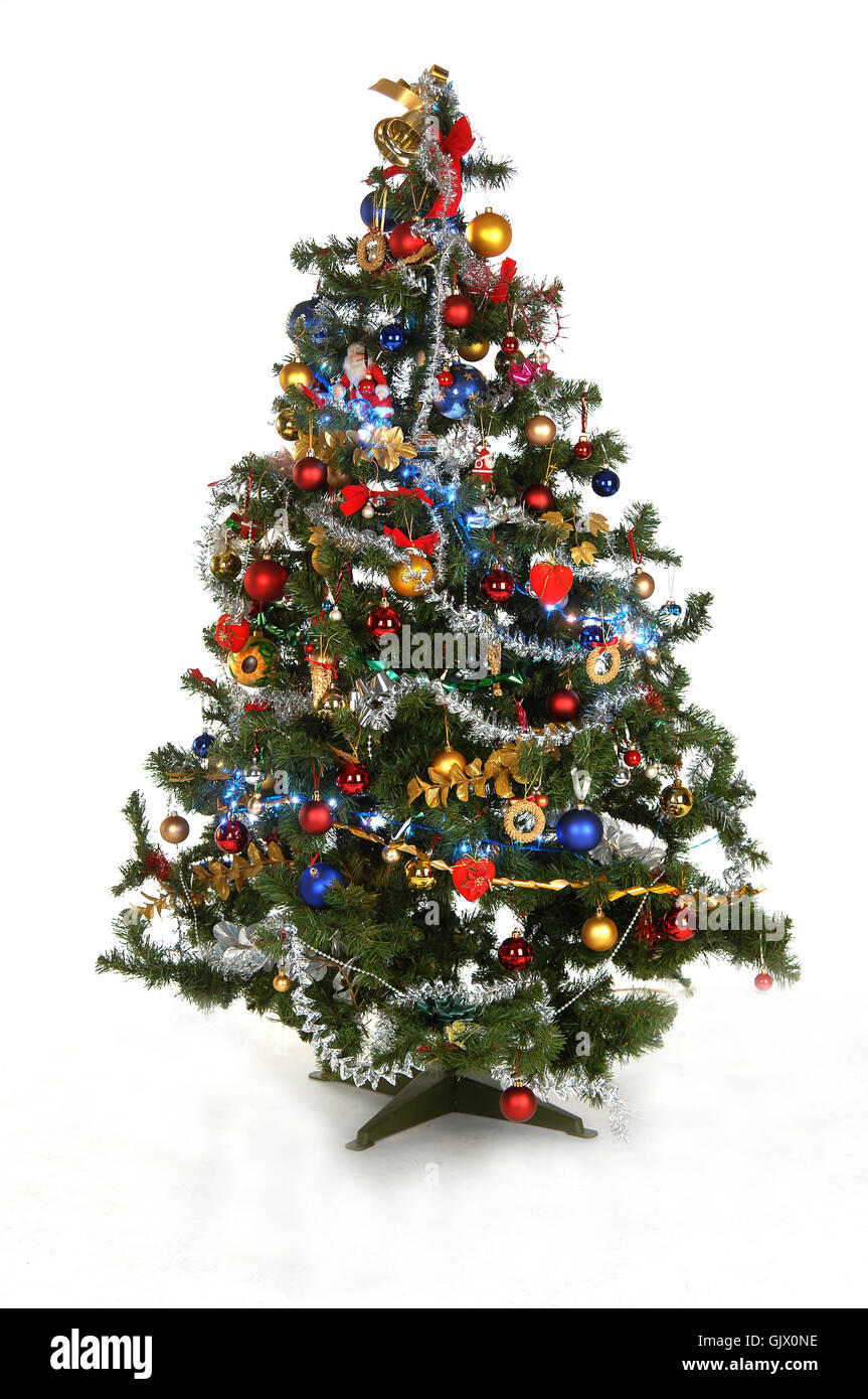 Weihnachtsbaum Stockfoto