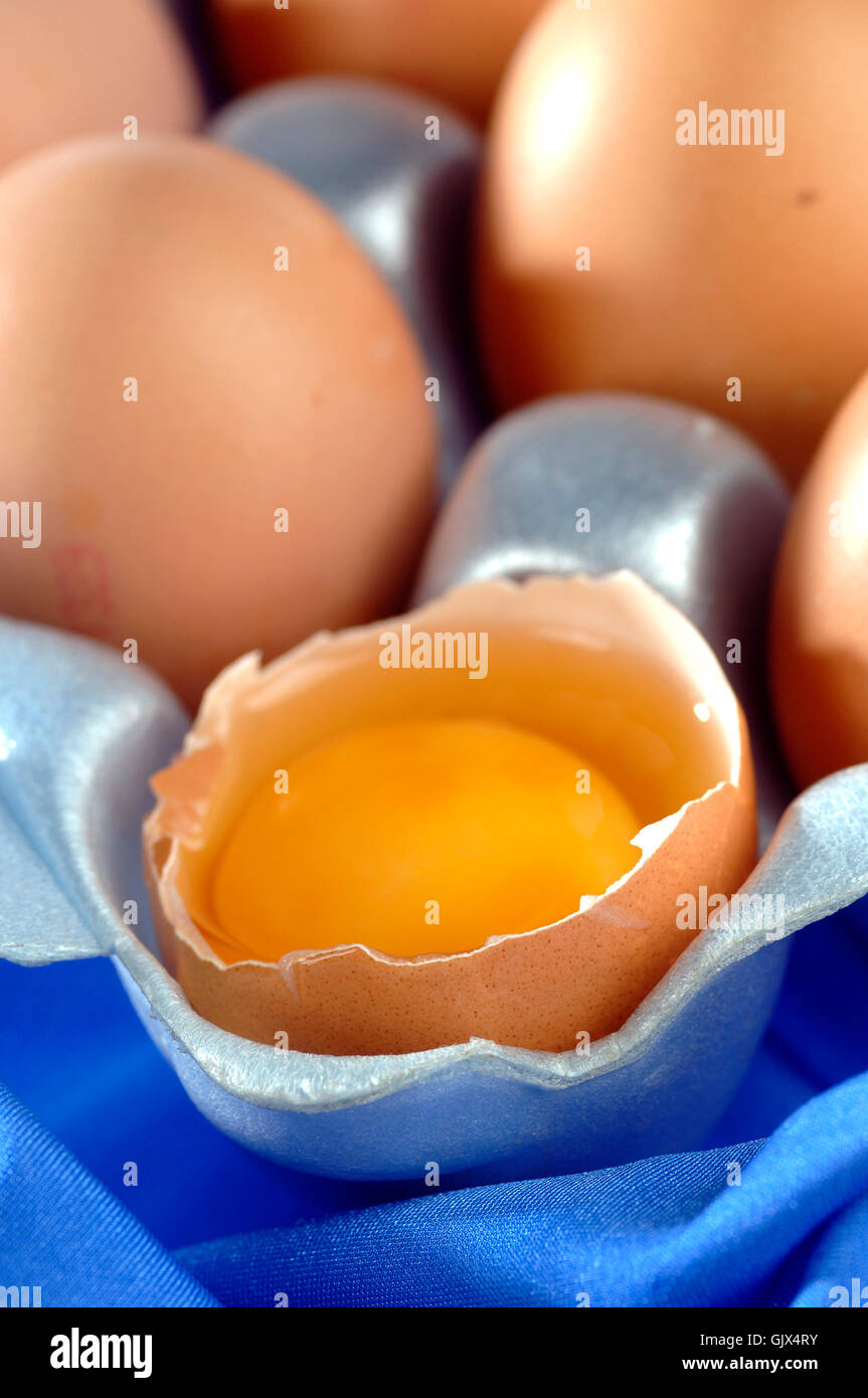 Ostereier Molkerei-Produkte Stockfoto
