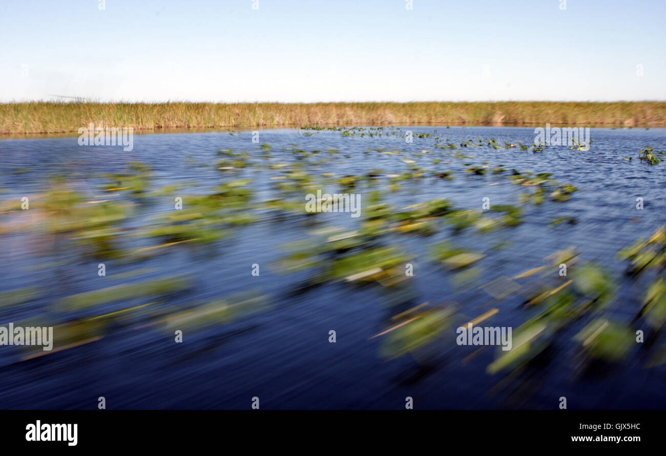 High-Speed Bewegungsunschärfe Aussicht auf die Landschaft der Everglades Nationalpark Stockfoto