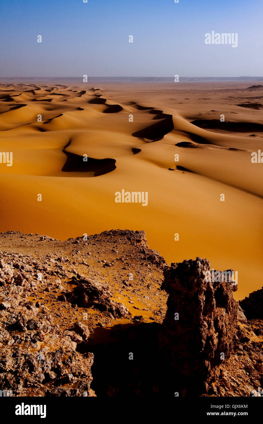 Düne am Morgen Stockfoto