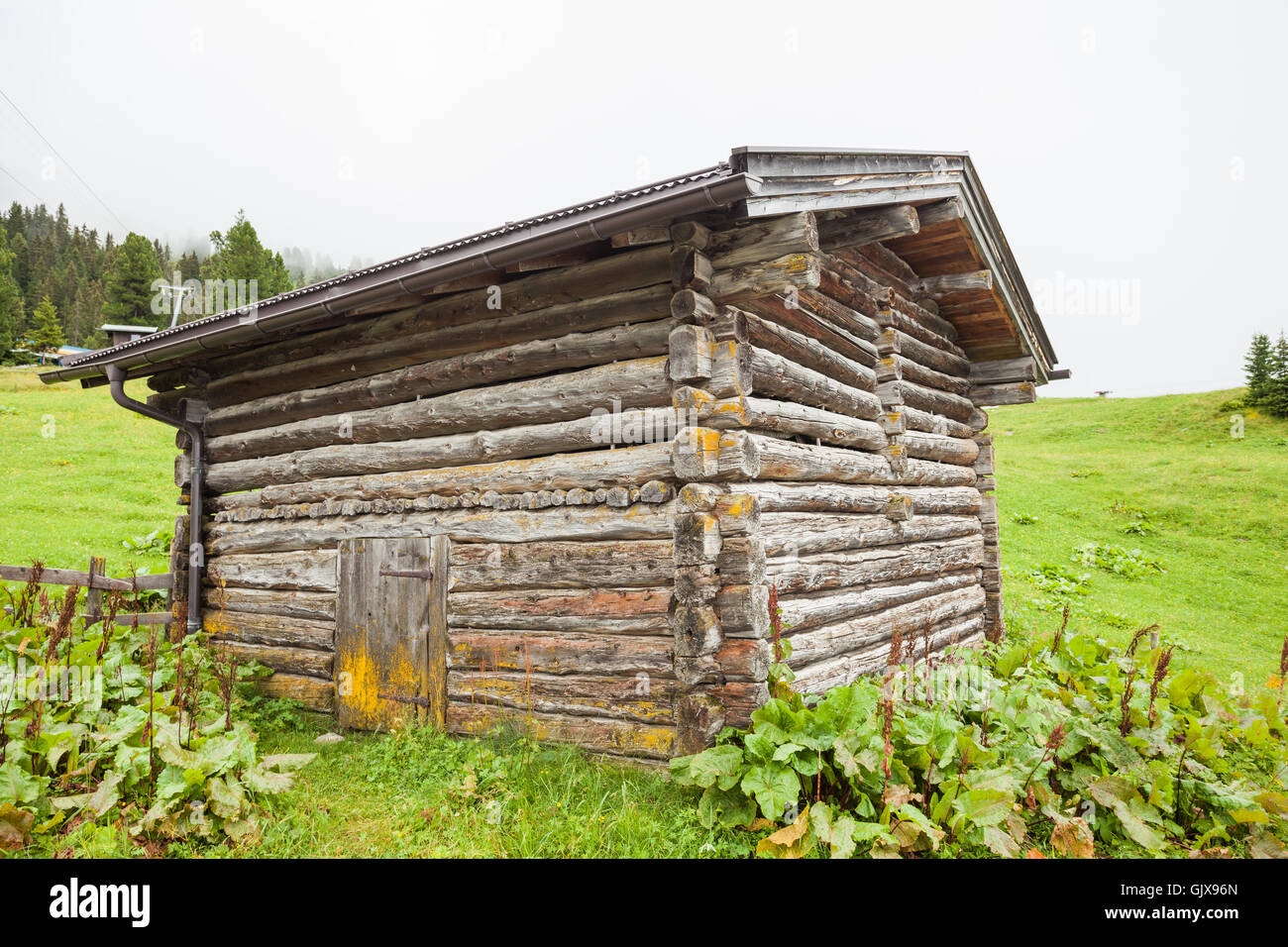 Holz Hütte auf einem Berg im Sommer Stockfoto