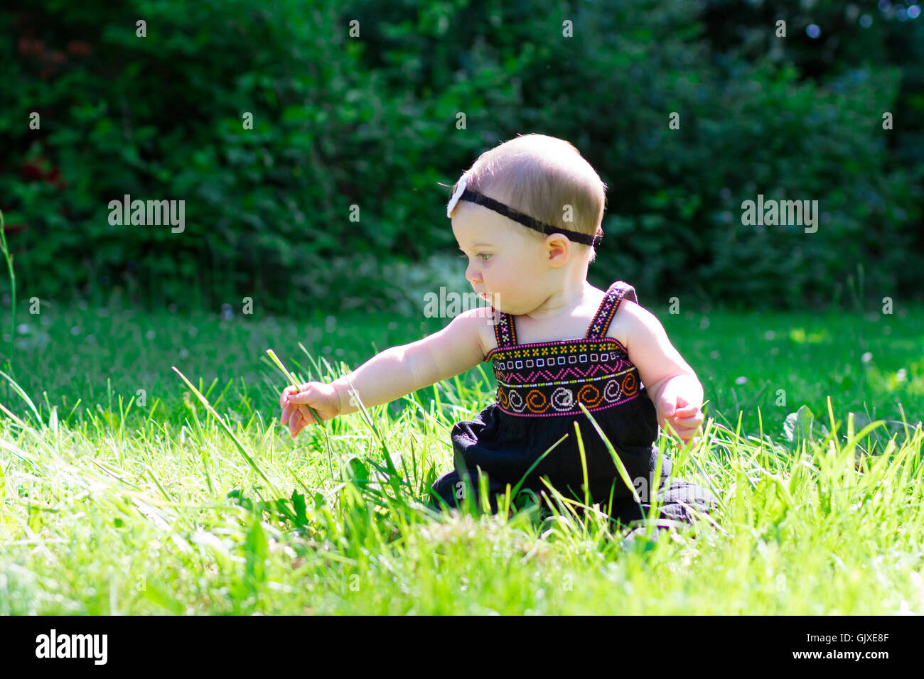 Babymädchen an etwa 6 Monate alt im Freien in einer natürlichen Umgebung mit vorhandenem Licht für ein Lifestyle-Porträt. Stockfoto