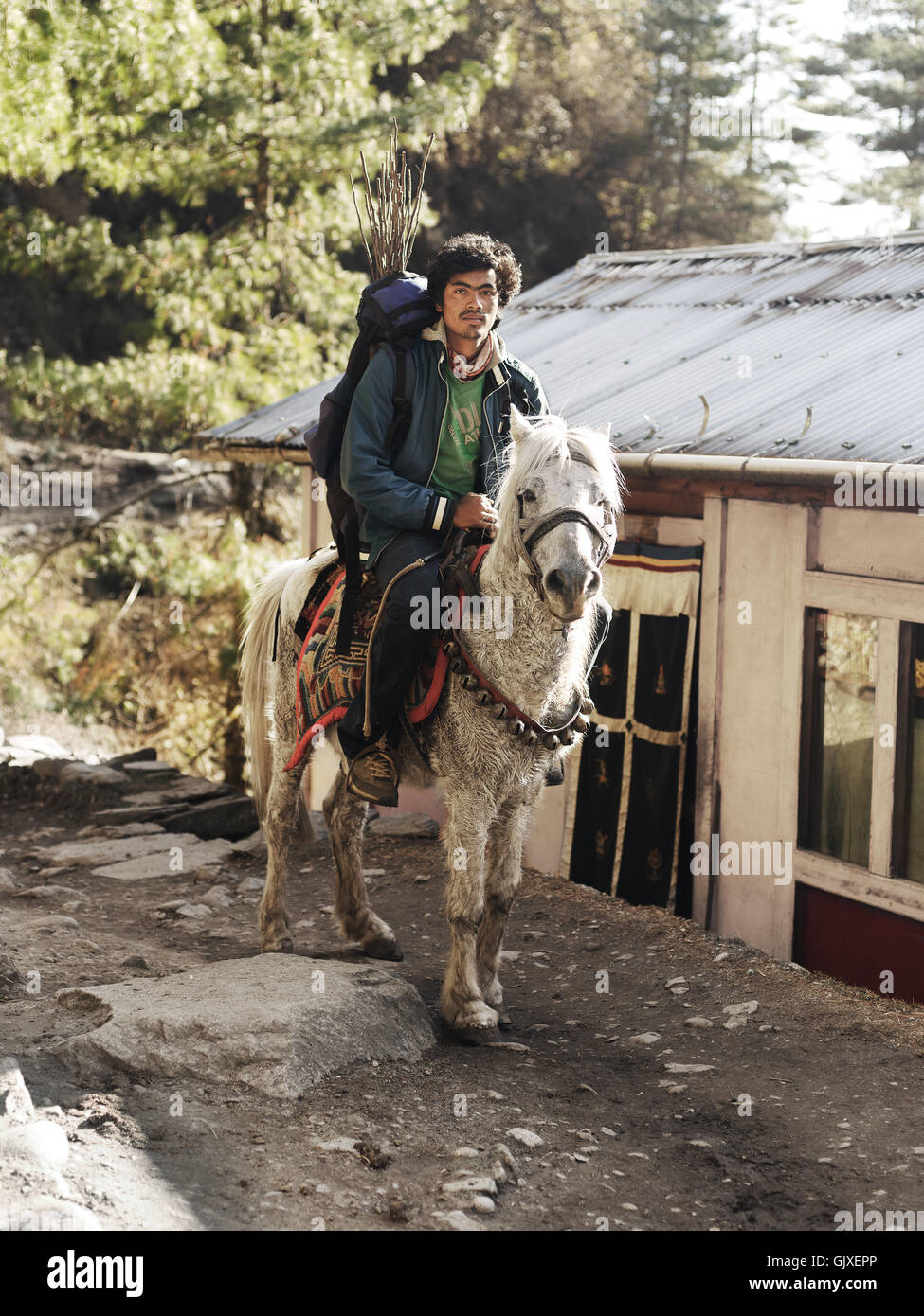Ein nepalesischer Mann sitzt auf seinem Pferd in der Nähe von Phakding im Everest Base Camp Stockfoto