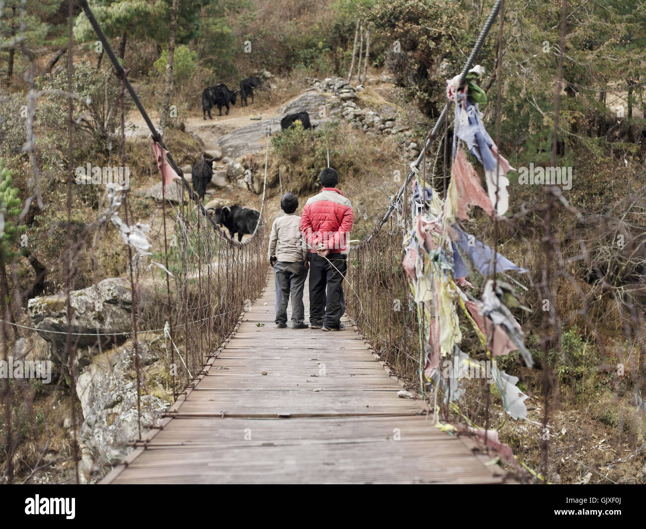 Zwei nepalesischen Jungs kümmern sich um ihr Vieh auf eine Hängebrücke in der Nähe von Phakding, Nepal Stockfoto