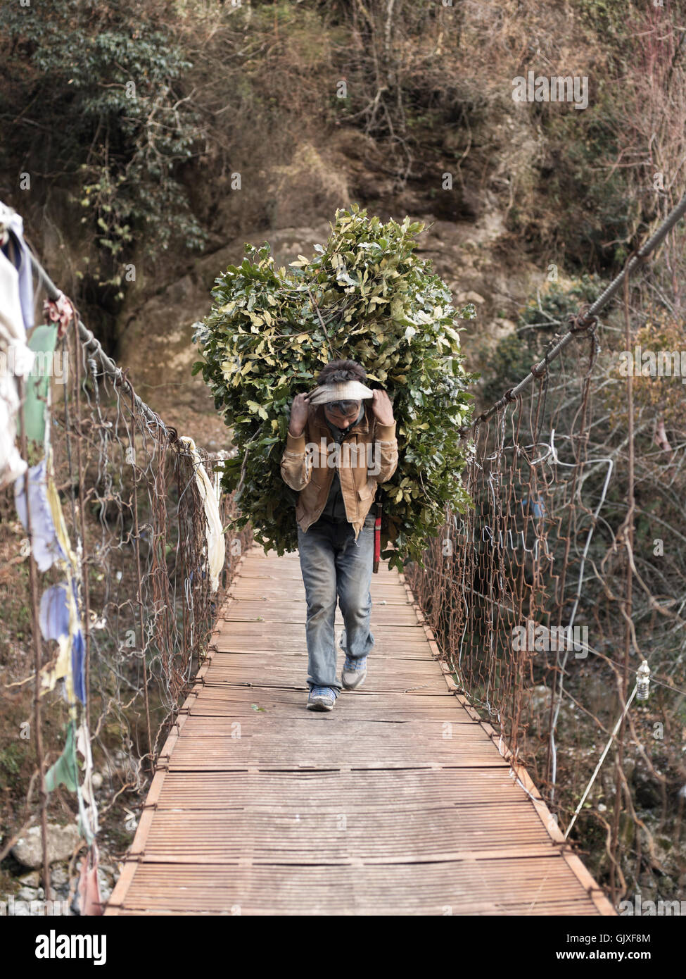 Ein nepalesischer Mann trägt Zweige auf dem Rücken, über eine Hängebrücke in der Nähe von Phakding, Nepal im Everest Base Camp Stockfoto