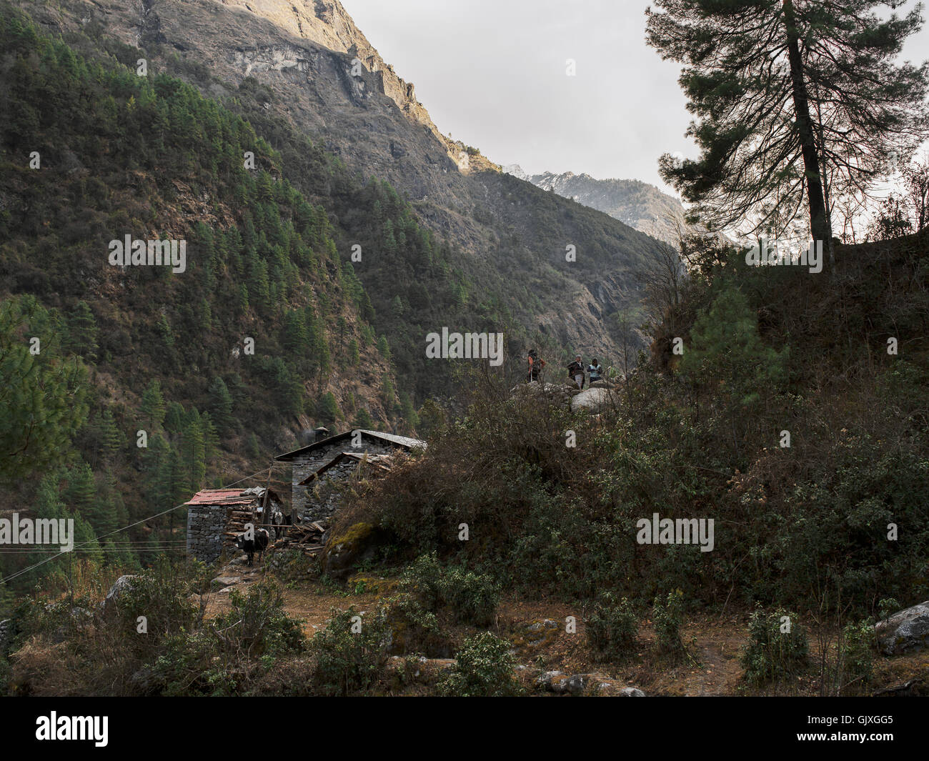 Phakding, Nepal, gelegen in den Himalaya-Bergen von Everest Base Camp Stockfoto