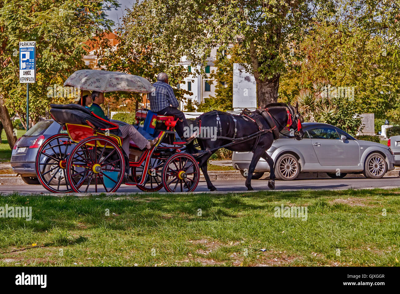 Horse-Drawn Wagen vorbei an den Autos Korfu Griechenland Stockfoto