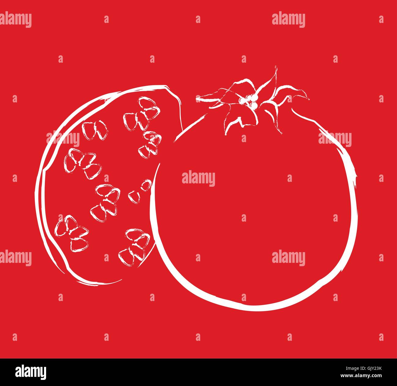 Granatapfel Stock Vektor