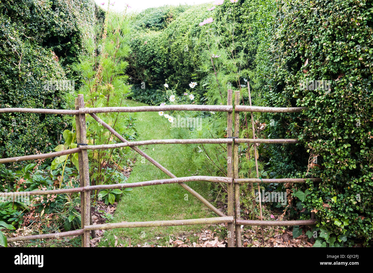 Eintritt in ein Labyrinth in einem formalen Garten mit einem geschlossenen Tor Stockfoto