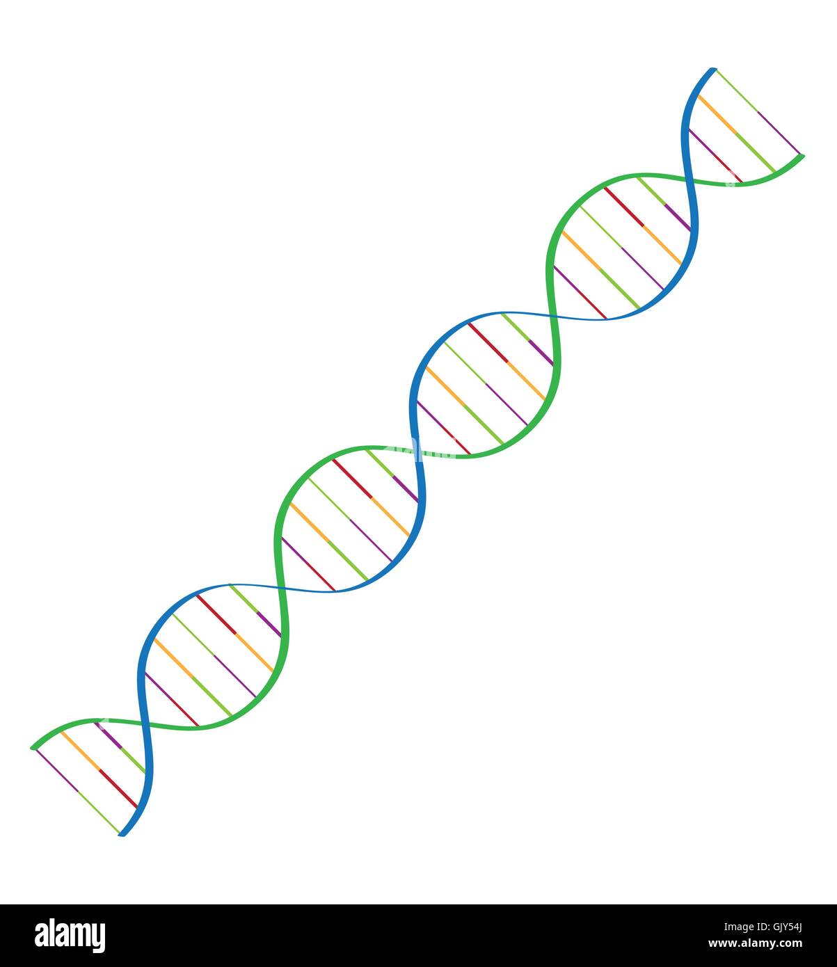 DNA-Spirale Stock Vektor