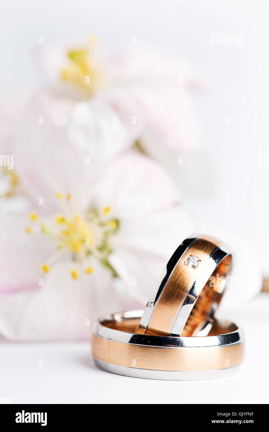 Trauringe, Eheringe Stockfoto