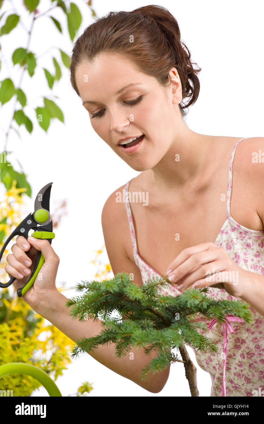 Frau Baum schneiden Stockfoto