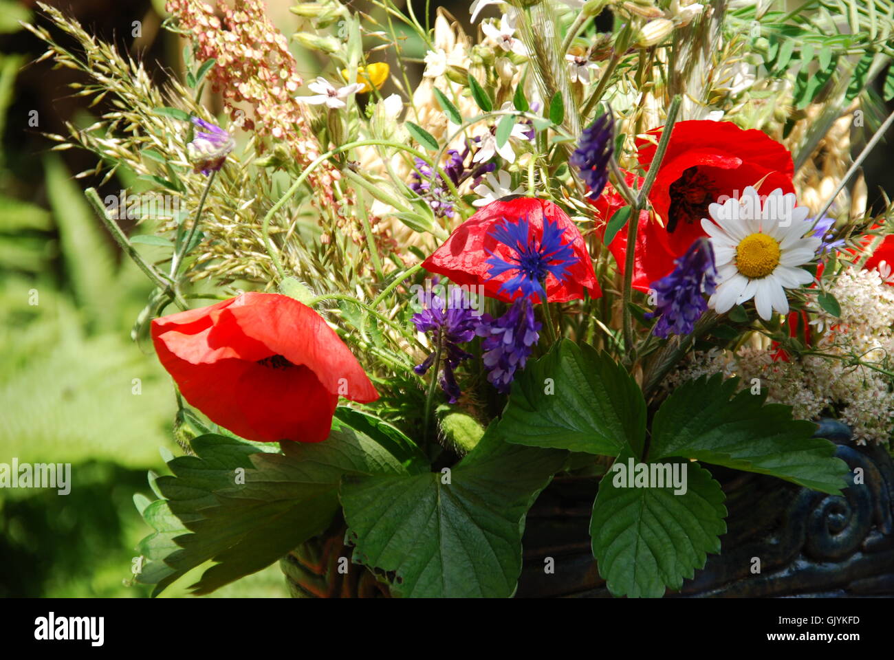 Midsommar Stockfoto