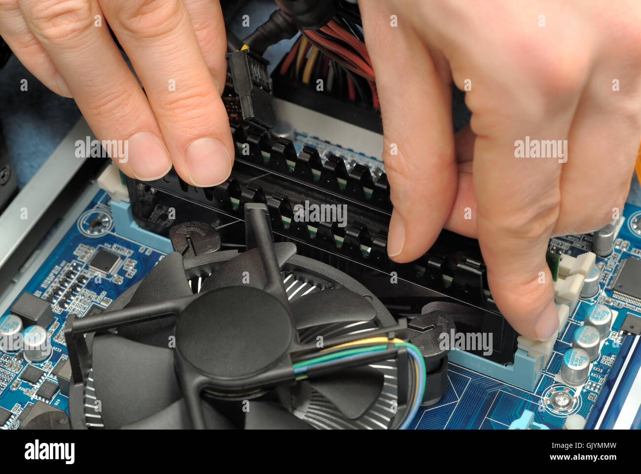 Installation des ram Stockfoto