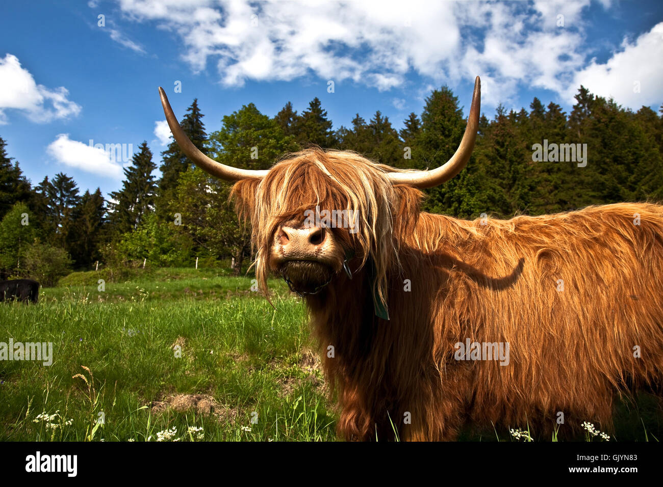 was schaust du Stockfoto