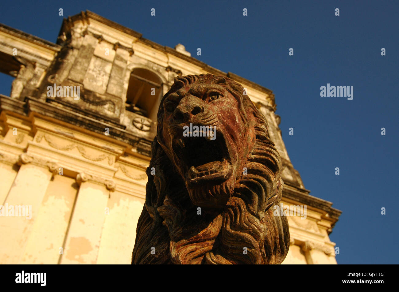 Kathedrale Löwe Katze Stockfoto