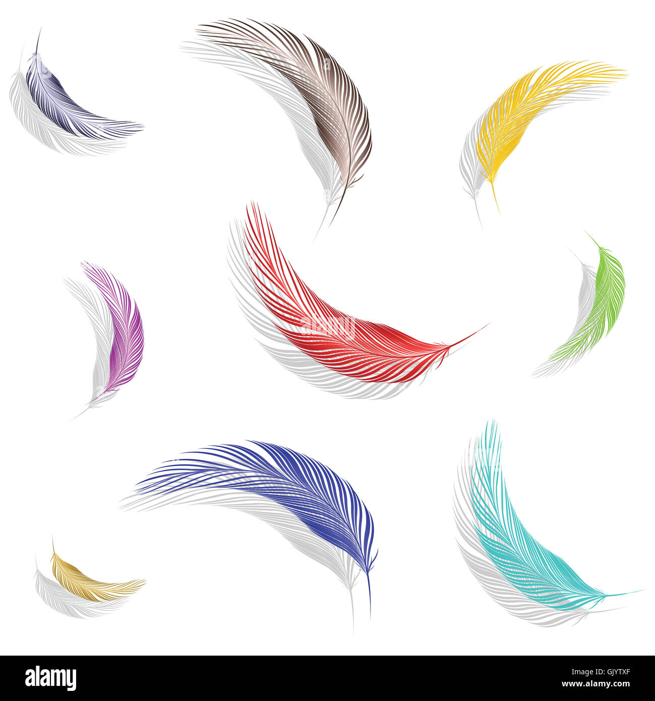 farbige Federn Sammlung Stockfoto