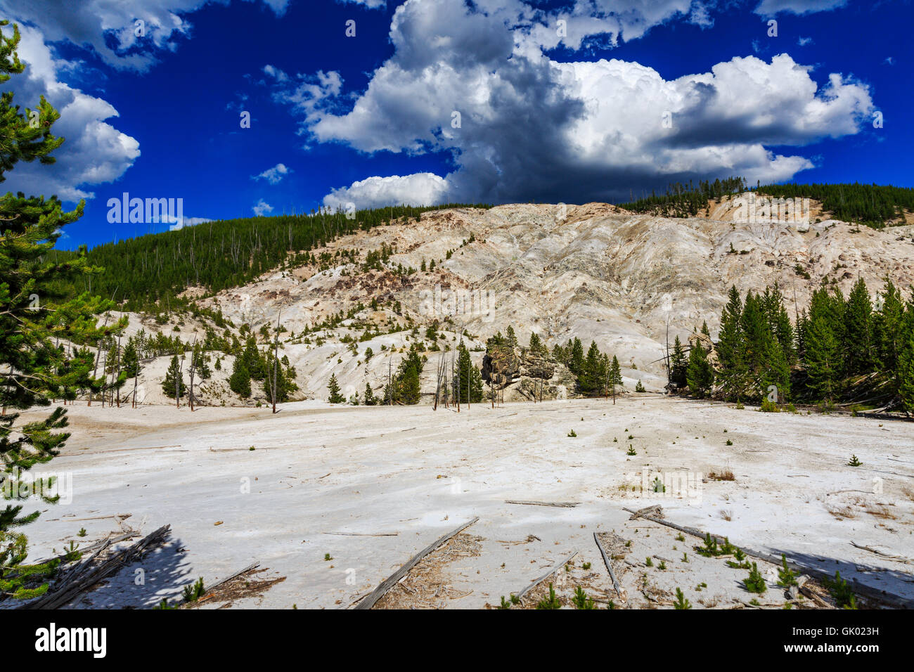 Dies ist eine Ansicht der Roaring Mountain im Norris-Geysir-Becken-Bereich auf der Westseite des Yellowstone-Nationalpark, Wyoming, USA Stockfoto