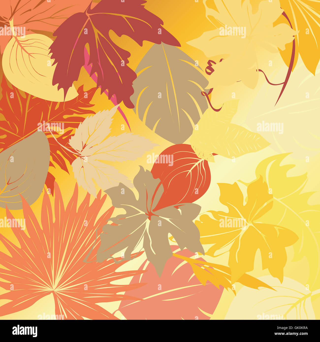 herbstliche Altern Botanik Stockfoto