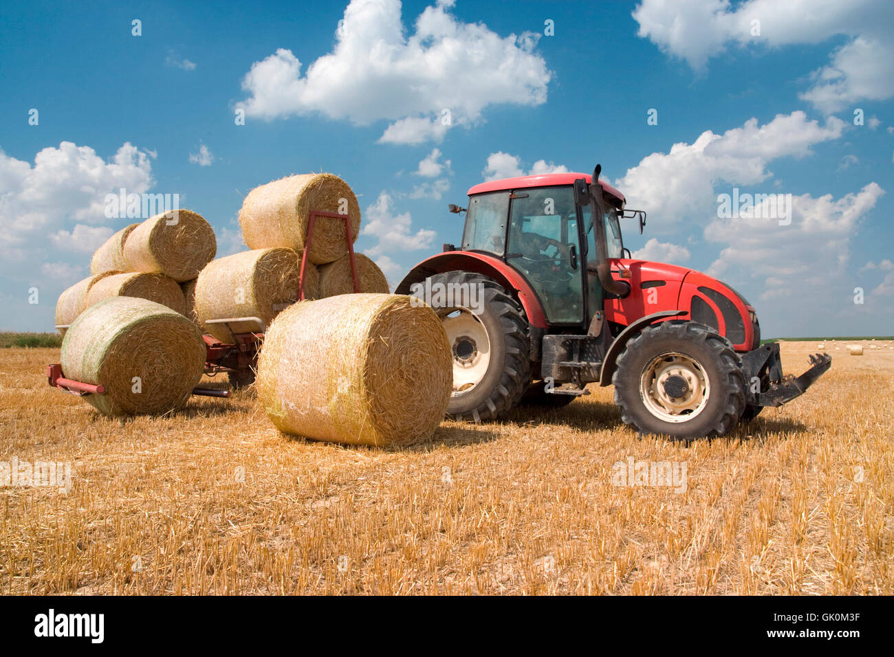 Landwirtschaft Landwirtschaft Mais Stockfoto