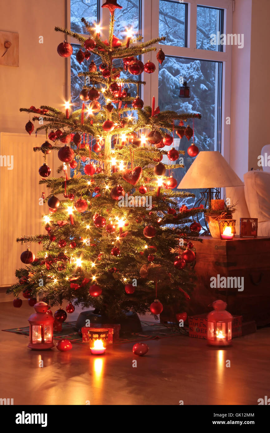 beleuchteter Tannenbaum Stockfoto