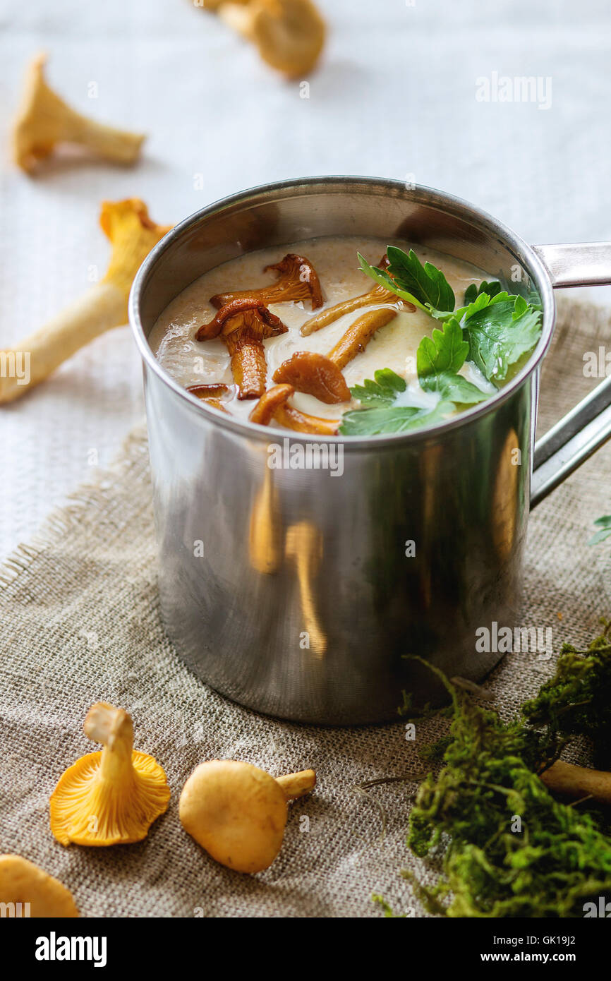 Pfifferling Creme Suppe in Eisen-Becher mit Petersilie, serviert mit frischen Pilzen und Wald Moos über Lappen auf weißem Leinen. Natürlicher Tag Stockfoto