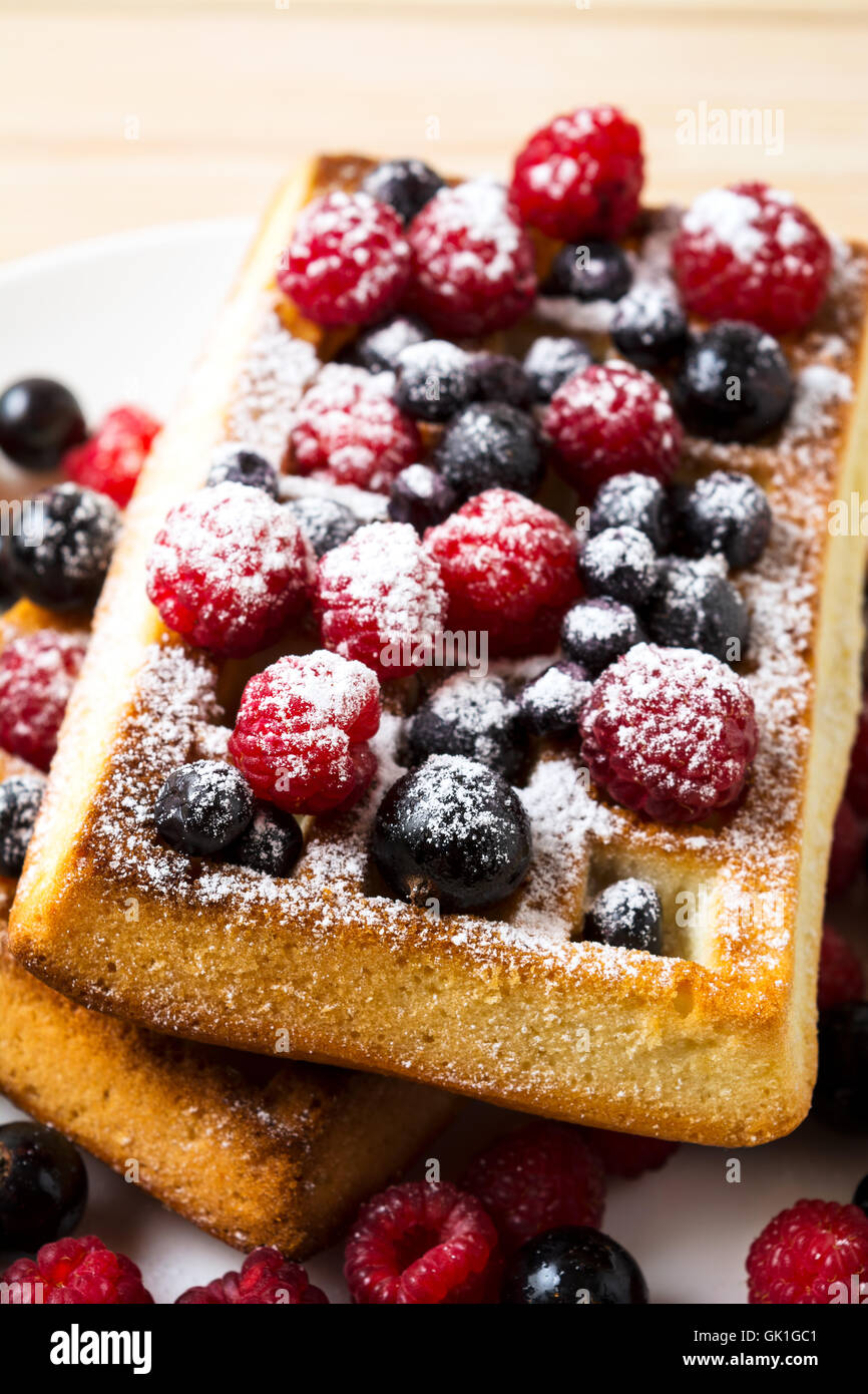 Belgische Waffeln mit frischen Beeren mit Puderzucker gepudert. Frühstück Waffeln mit Heidelbeeren, Himbeeren und schwarzen Johannisbeeren. Stockfoto