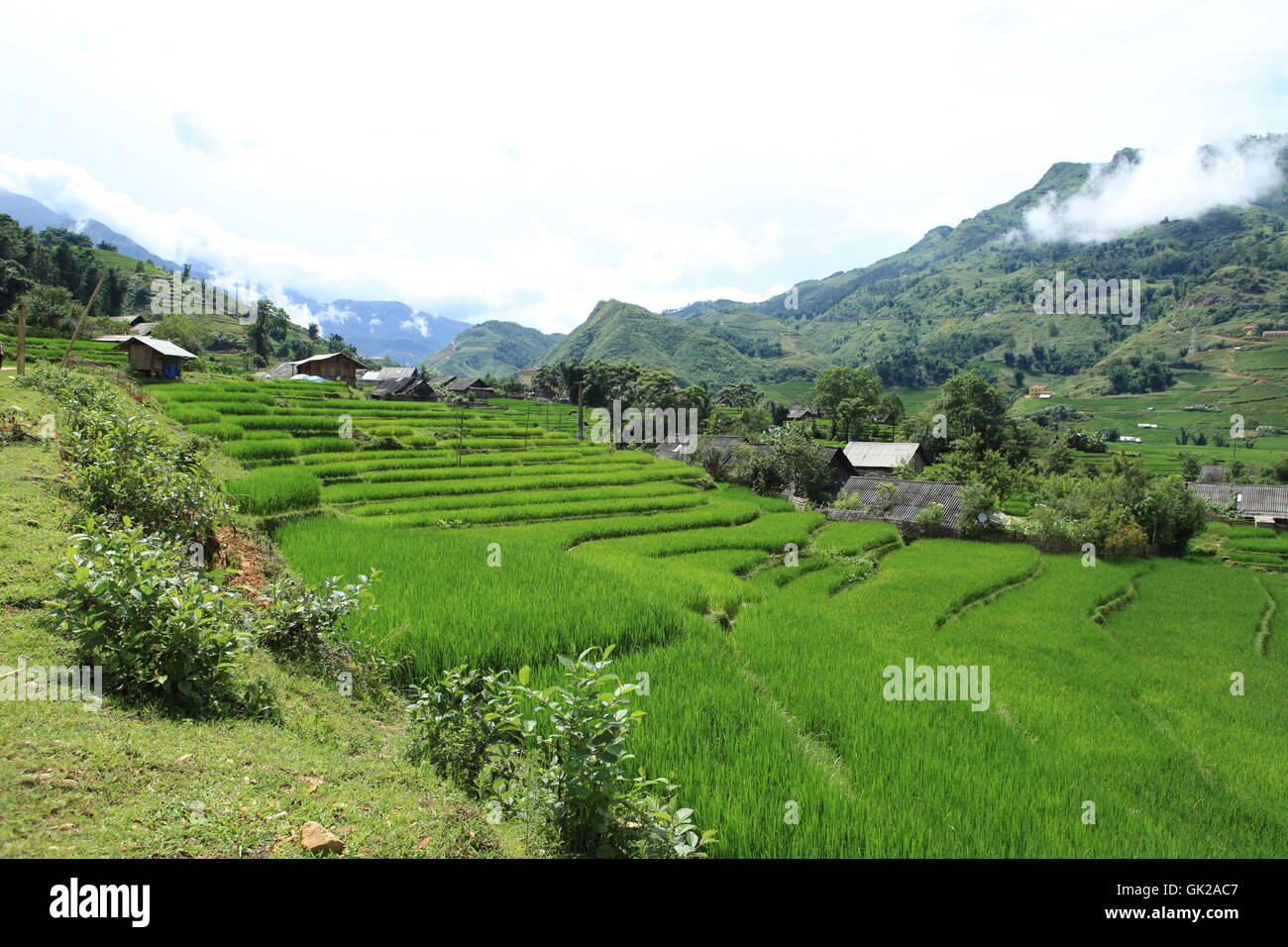 Asien-Tal Vietnam Stockfoto