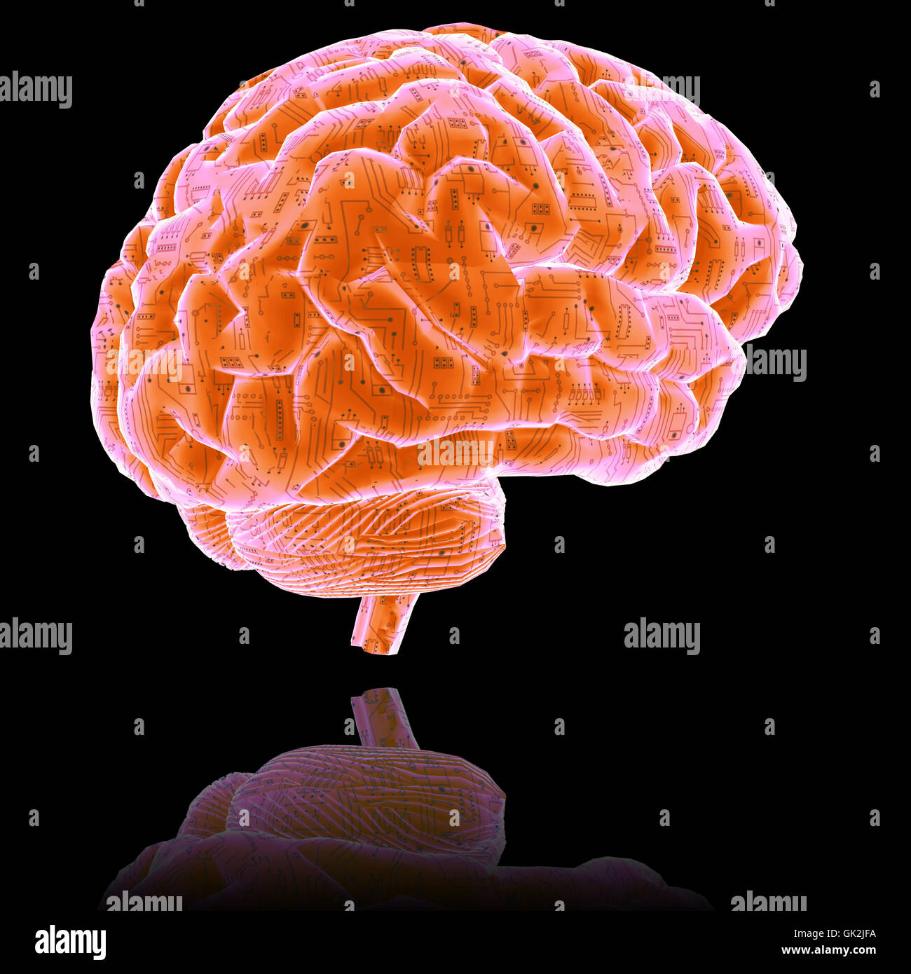 HDD-Gehirn Stockfoto