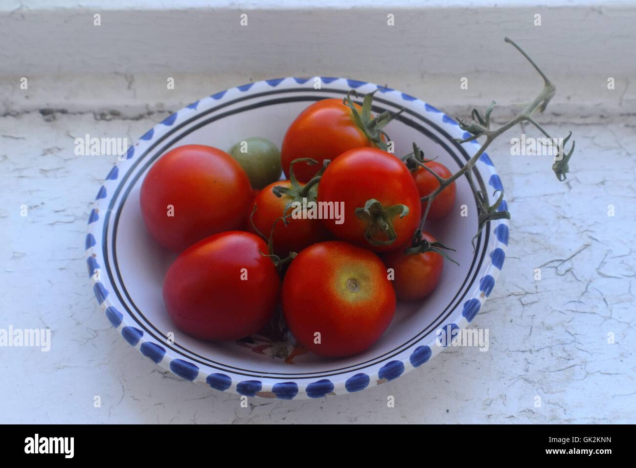 Gewächshaus, rote Tomaten angebaut Stockfoto