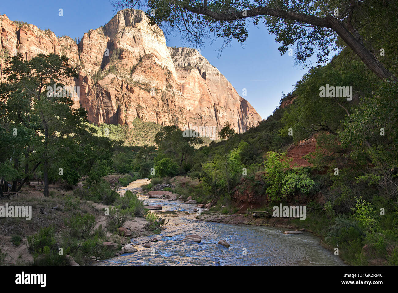 Crek im Zion Nationalpark, Utah, West Amerika Stockfoto