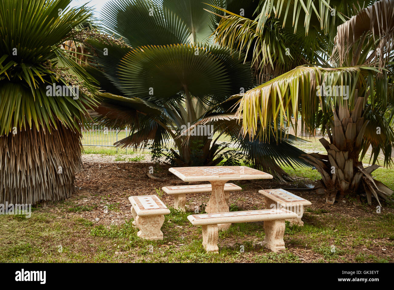 Tabelle in eine Gruppe von tropischen Pflanzen im Key West tropischen Wald und Botanischer Garten Stockfoto