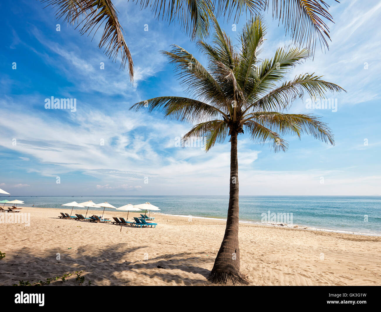 Palme wächst auf Cua Dai Beach. Hoi An, Provinz Quang Nam, Vietnam. Stockfoto