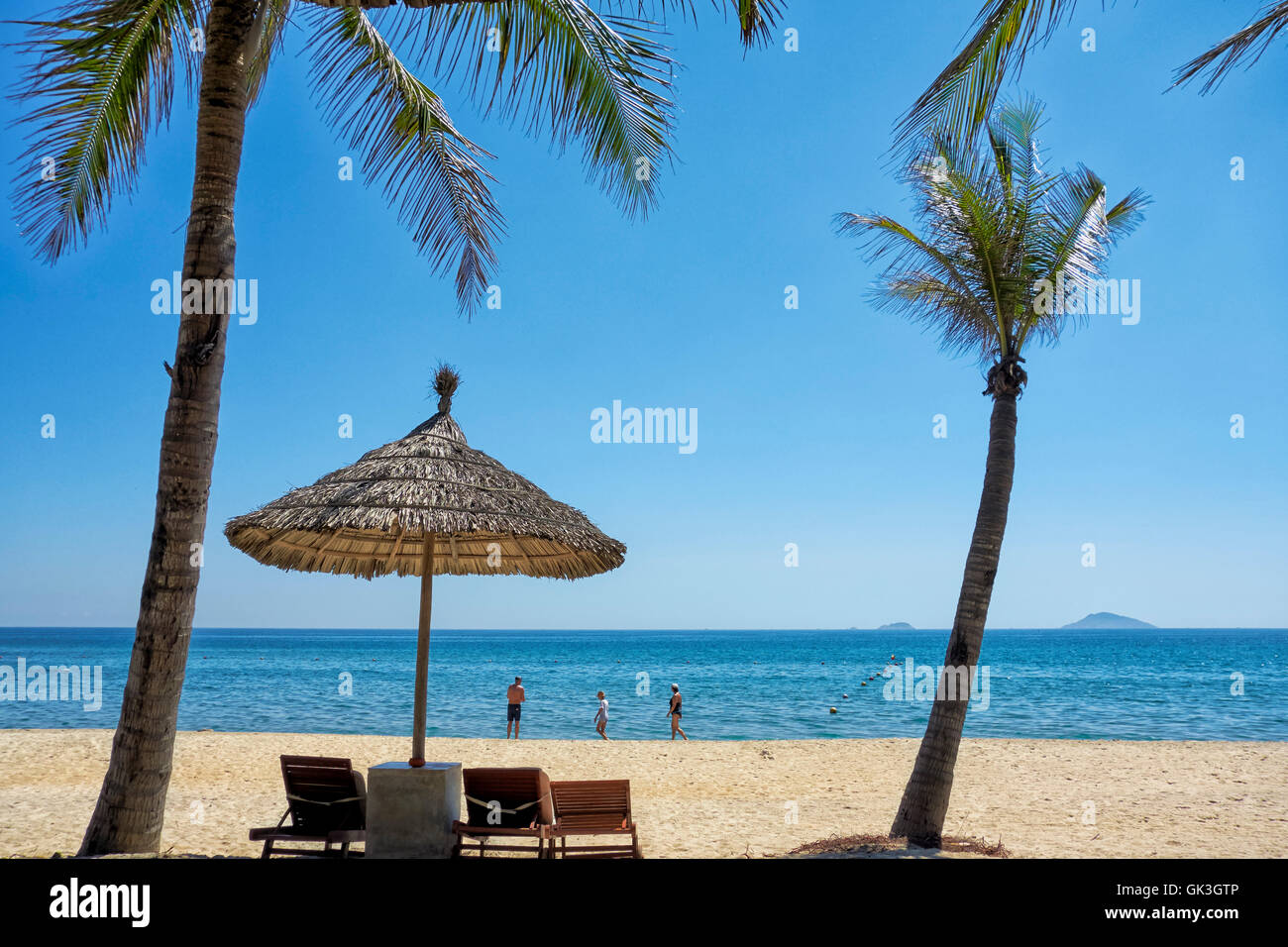 Sonnenschirm palme -Fotos und -Bildmaterial in hoher Auflösung – Alamy