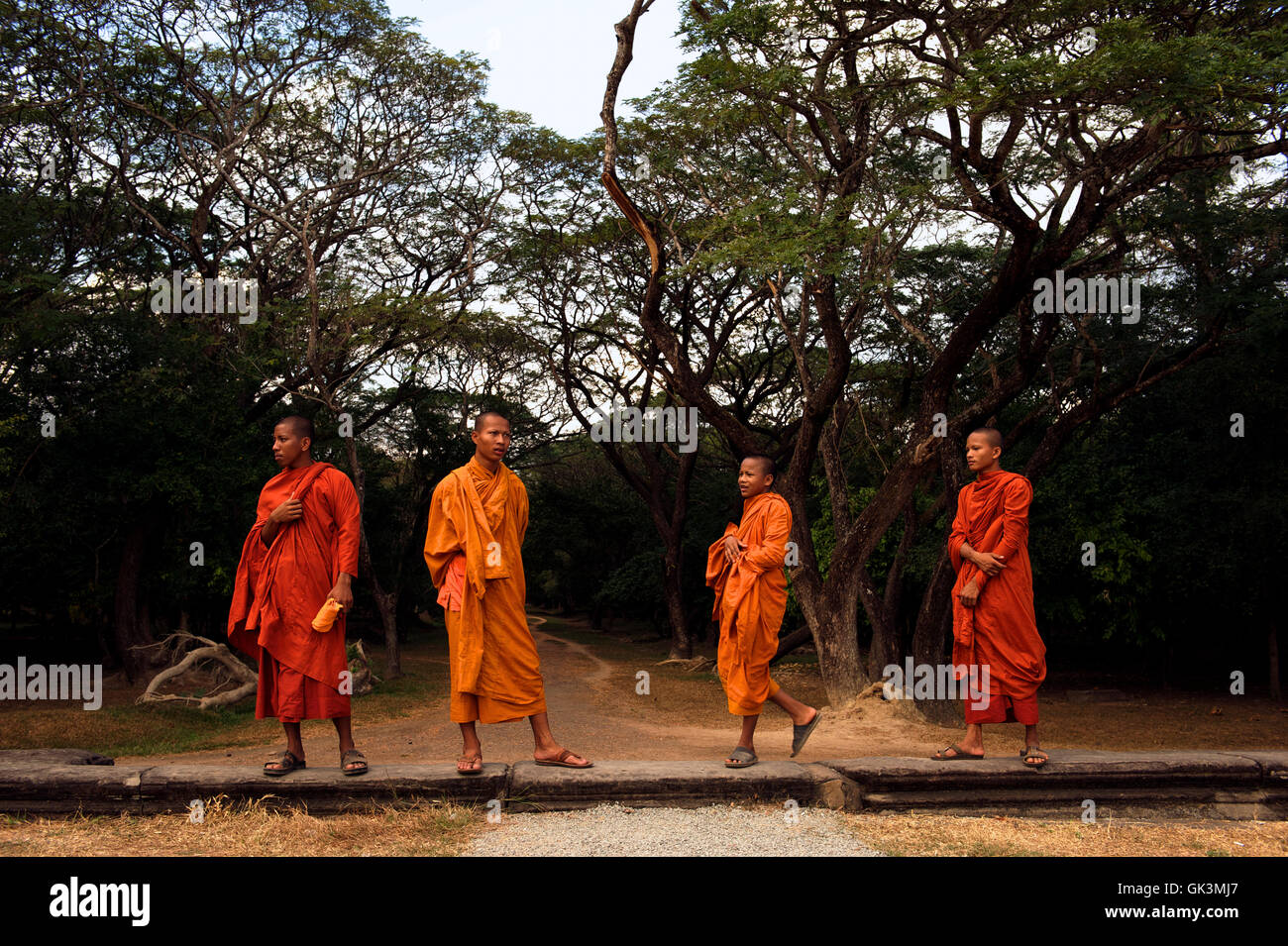 16. Januar 2012, Angkor, Kambodscha---Angkor Wat Tempel, Siem Reap, Kambodscha---Bild von © Jeremy Horner Stockfoto