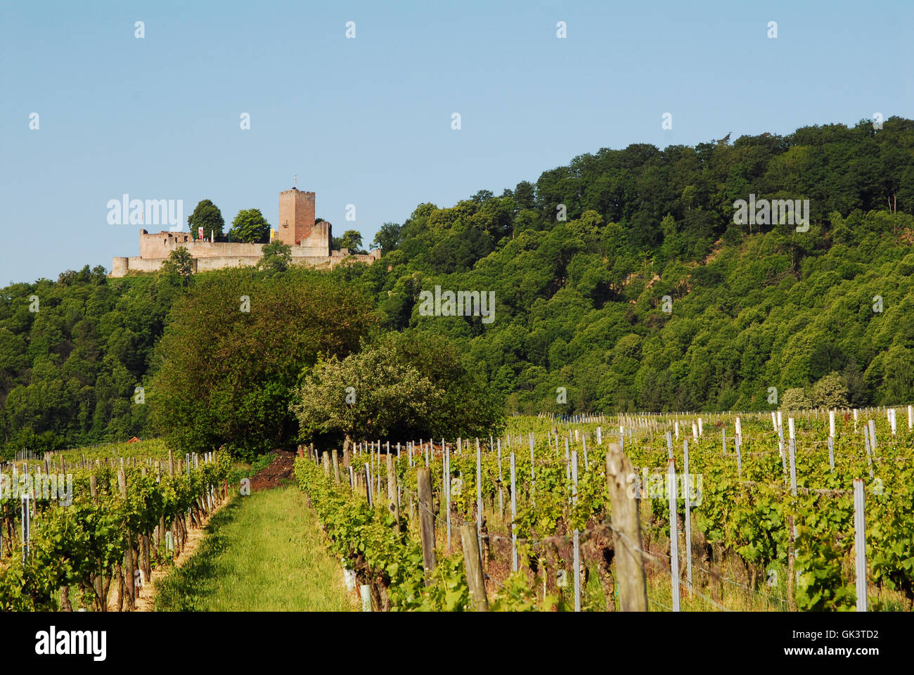 Pfalz Schloss Burg Stockfoto