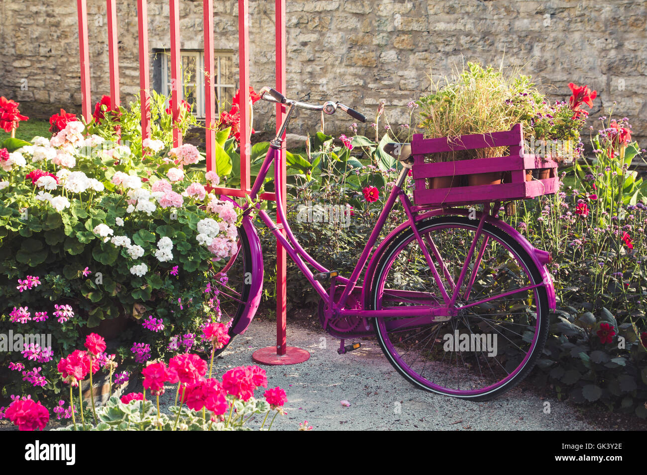 Rosa Fahrrad mit Blumen in einem Garten Stockfoto