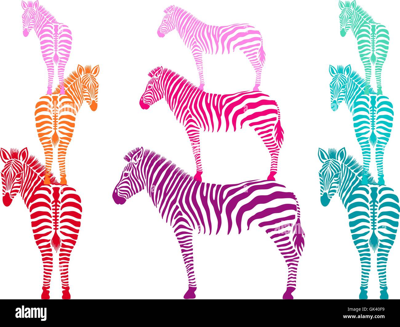 bunte Zebras stehend, Seiten- und Rückansicht, Vektor-illustration Stock Vektor
