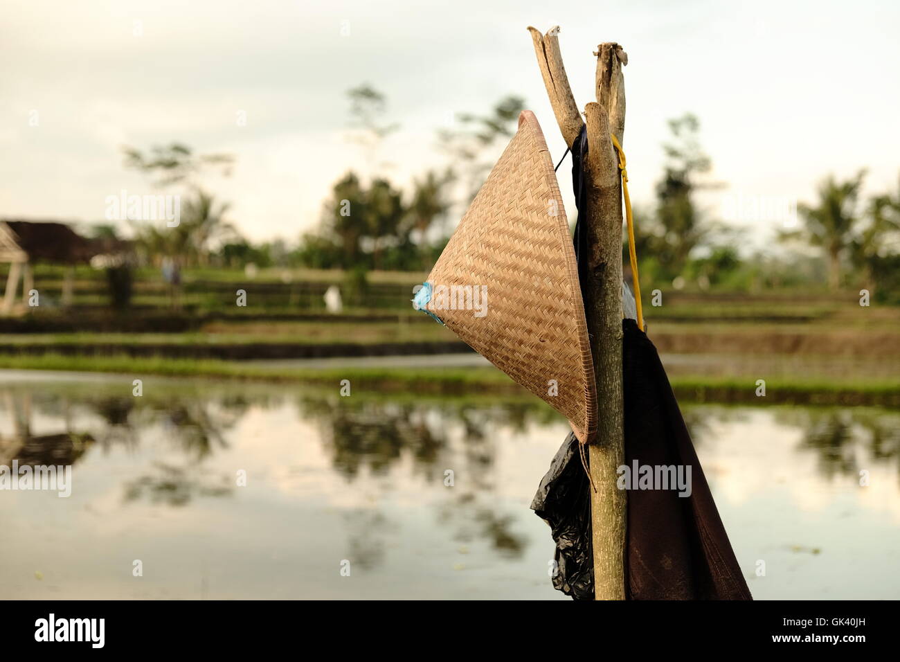 Reis-Hut auf einem Stick auf einem Reisfeld in Bali, Indonesien Stockfoto