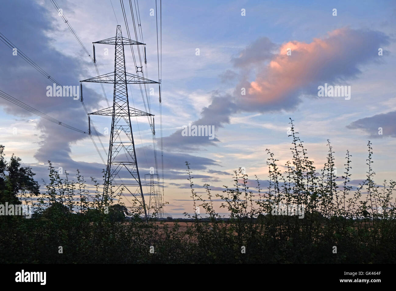 National Grid Elektrizität Masten, Nr. Newark, Nottinghamshire, England, UK Stockfoto