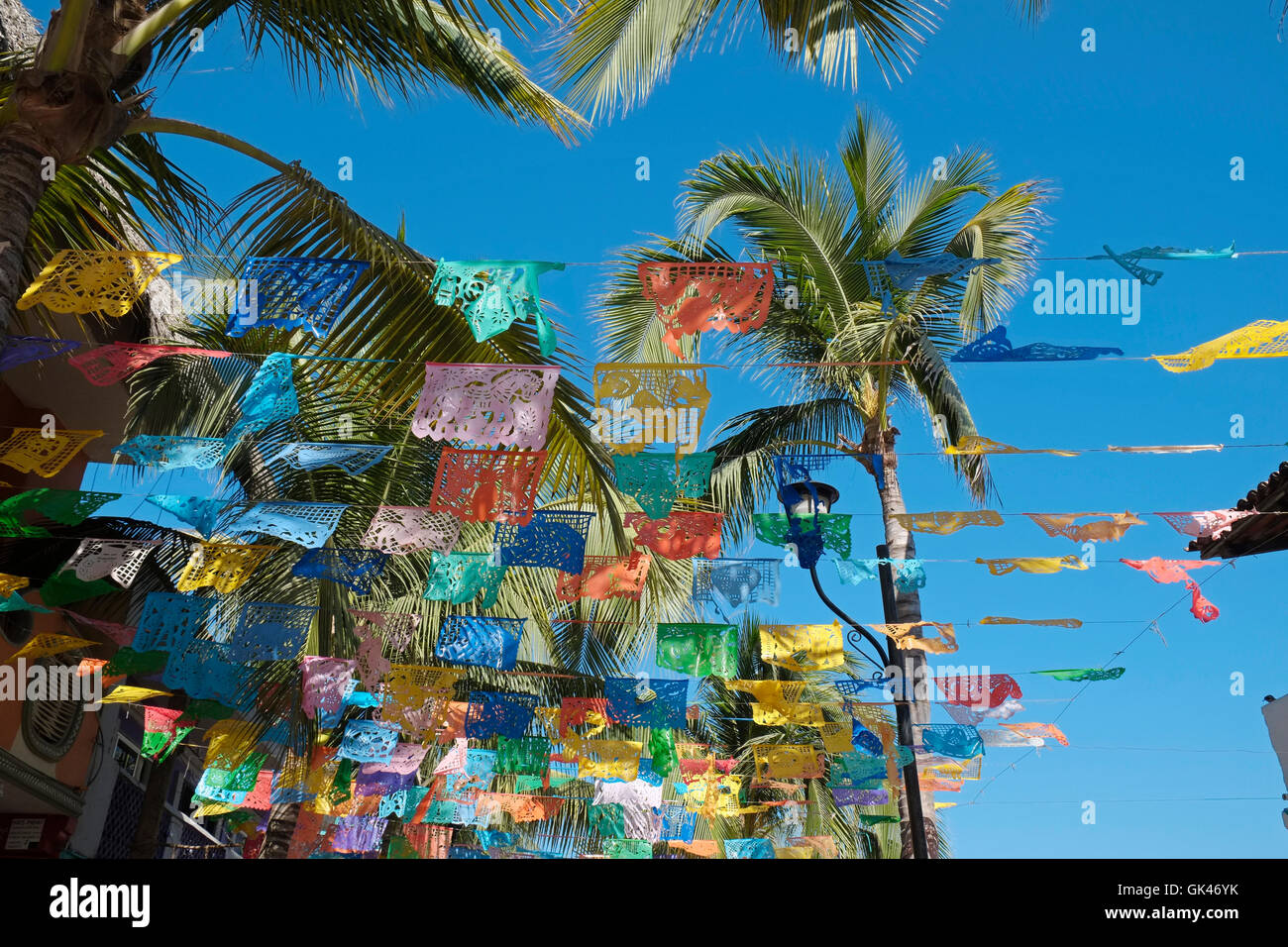 Ammer oberhalb einer Straße in Sayulita, Riviera Nayarit, Mexiko. Stockfoto